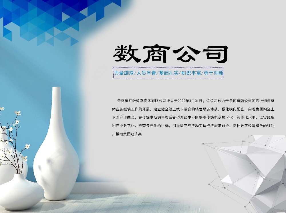 �������Ҷ�����������޹�˾